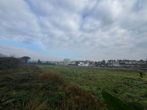 immagine annuncio 4 di 8