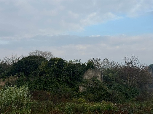 immagine annuncio 6 di 8