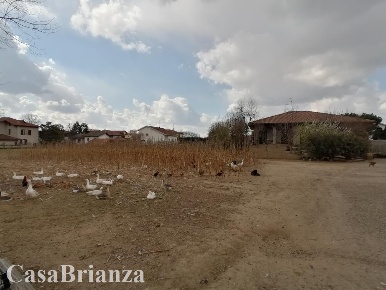 Foto Appartamento a Sovico di 45 m² con 2 locali in affitto