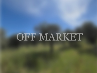 Foto Rustico a Alghero Mercede, Calabona di 150 m² in vendita