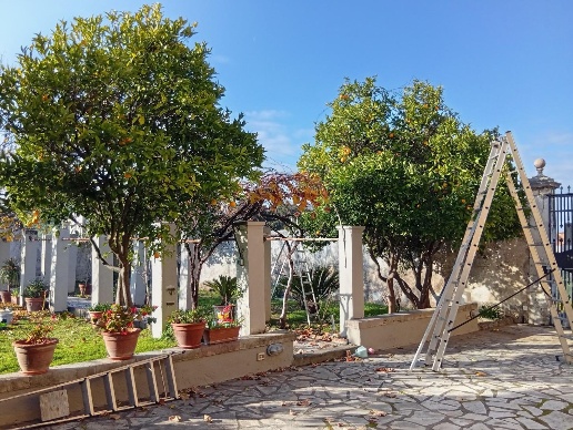 immagine annuncio 2 di 11