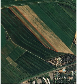 Foto Terreno agricolo a Bibbona di 20000 m² in vendita