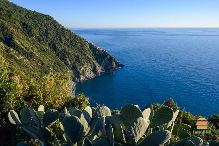 Foto Casale a Riomaggiore Biassa di 96 m² con 4 locali in vendita