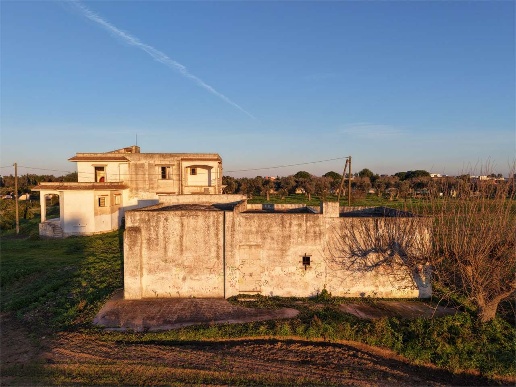 immagine annuncio 3 di 8