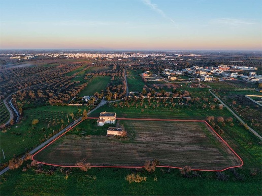 immagine annuncio 7 di 8