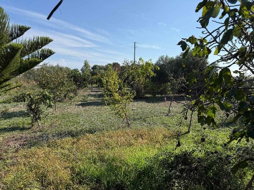 immagine annuncio 6 di 7