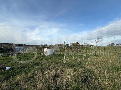 Foto Terreno agricolo in Via Ragusa 25, Nettuno di 3290 m² in vendita