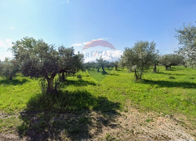 Foto Terreno residenziale in Via Aurora, Cepagatti Centro di 5043 m²