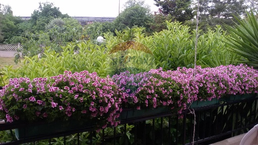 Foto Villa unifamiliare in Via Arcangelo Nicola Maione, Bari Palese