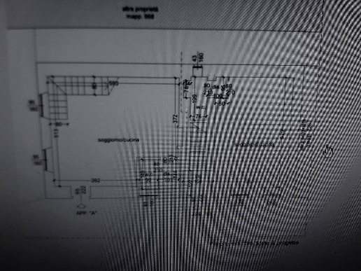 immagine annuncio 4 di 6