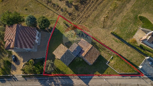 immagine annuncio 4 di 14