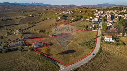 immagine annuncio 7 di 14