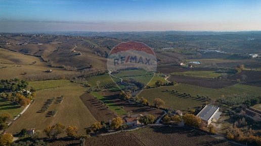 immagine annuncio 9 di 14