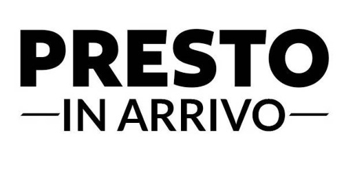 Foto Case semi ndipendenti in via  farra, Feltre Centro di 224 m²