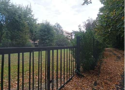 immagine annuncio 2 di 11