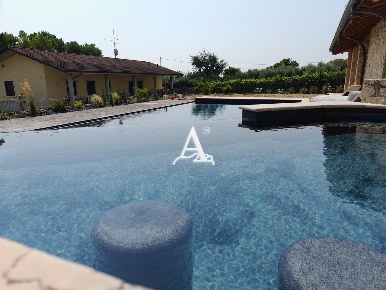 Foto Attività commerciale a San Giovanni Lupatoto Centro di 40 m²