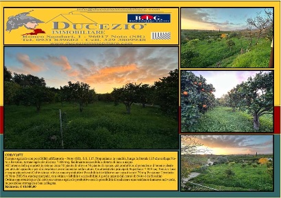 Foto Terreno edificabile in Loc. Contrada Cocca s.n, Noto Centro di 7000 m²