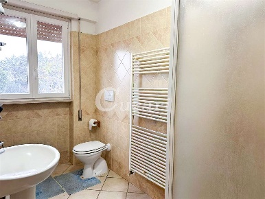 Foto Appartamento in via appia sud, Velletri Appia Sud di 50 m² in affitto