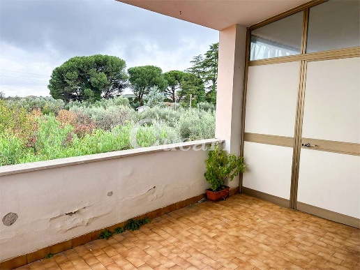 immagine annuncio 5 di 8