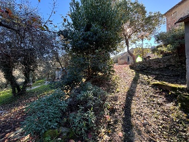 Foto Appartamento a Terricciola di 340 m² con 12 locali in vendita