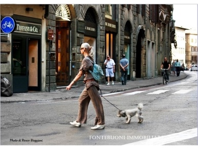 Foto Locale commerciale in PONTE VECCHIO, Firenze Signoria - Uffizi