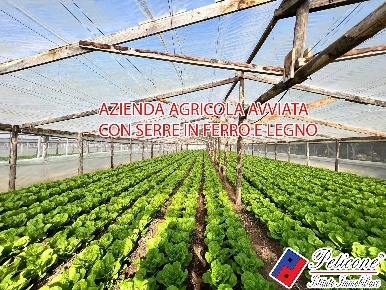 Foto Terreno agricolo in VIA ANNA MASCHIETTO, Fondi di 7500 m² in vendita