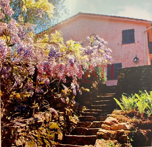 immagine annuncio 2 di 6