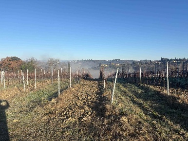 Foto Cessione attività a Montespertoli di 27017 m² con 13 locali in vendita