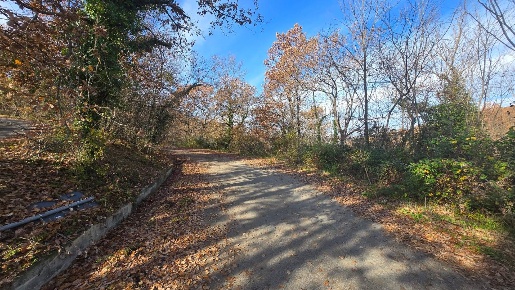 Foto Terreno agricolo in C/da Cipollara, Castelvetere sul Calore in vendita