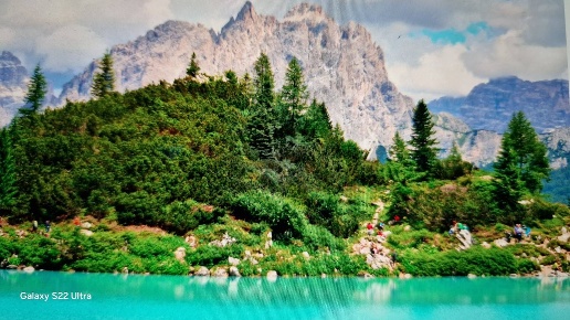 immagine annuncio 3 di 11