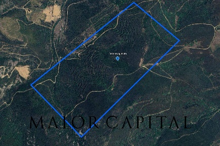 Foto Terreno agricolo in Via Schifoni, San Teodoro in vendita