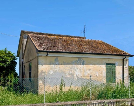 immagine annuncio 2 di 12