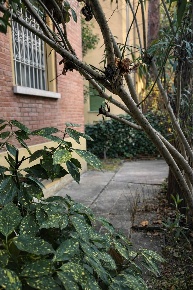 Foto Appartamento in VIA ZANOTTI, Bologna Murri di 55 m² con 3 locali