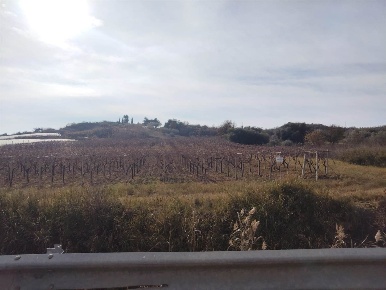 Foto Terreno agricolo a Camastra di 13838 m² in vendita