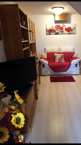 immagine annuncio 2 di 14