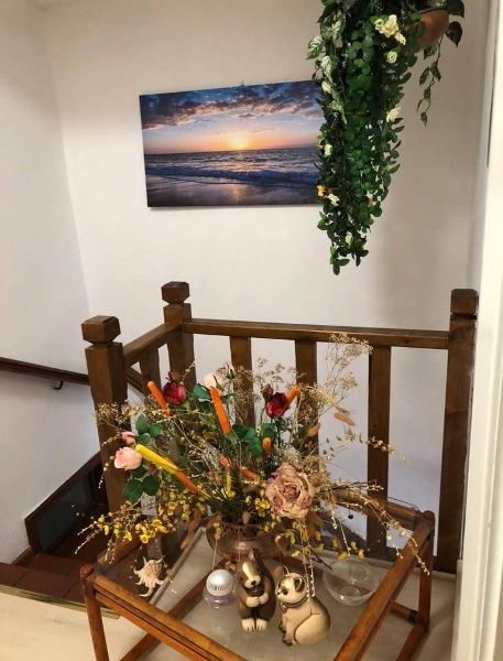 immagine annuncio 6 di 14