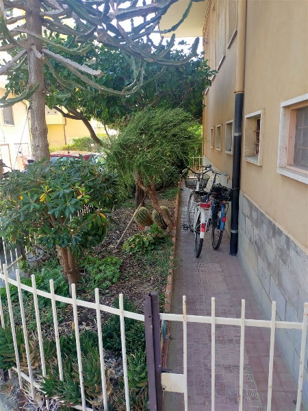 immagine annuncio 9 di 12