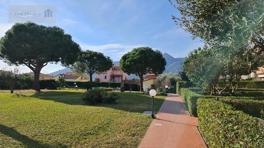 immagine annuncio 9 di 14