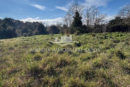 Foto Terreno edificabile a Calangianus di 6208 m² in vendita