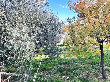 Foto Terreno residenziale in Via del Carabiniere snc, Pozzilli Centro