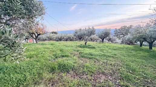 Foto Terreno agricolo in dario leone, Lamezia Terme Nicastro Sambiase