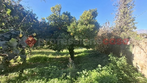 Foto Terreno agricolo in Via Vipera snc, Castel San Giorgio Centro