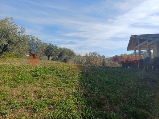 immagine annuncio 6 di 8