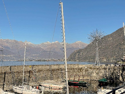 immagine annuncio 0 di 15