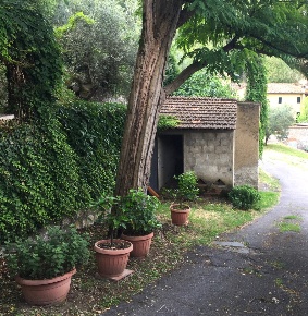 Foto Rustico in Via di Filettole, Prato Castellina di 350 m² con 7 locali