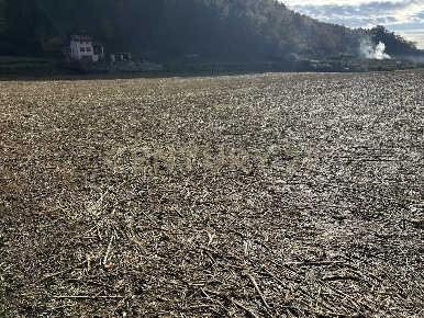 Foto Terreno edificabile in Via Don Giovanni Calabria, Tregnago Cogollo