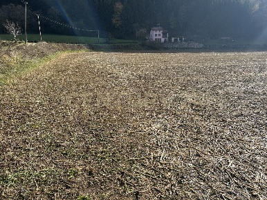Foto Terreno edificabile in Via Don Giovanni Calabria, Tregnago Cogollo