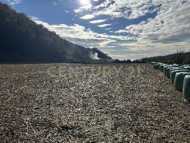 Foto Terreno edificabile in Via Don Giovanni Calabria, Tregnago Cogollo