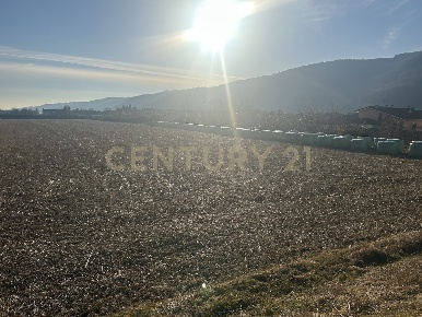 Foto Terreno edificabile in Via Don Giovanni Calabria, Tregnago Cogollo