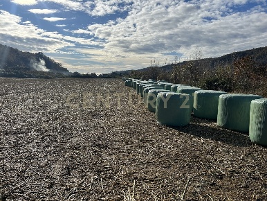 Foto Terreno edificabile in Via Don Giovanni Calabria, Tregnago Cogollo